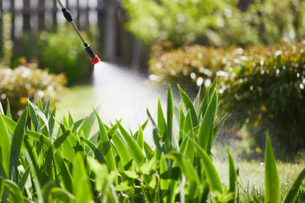 24/7 Emergency Mosquito Control experts in Crosspointe, VA