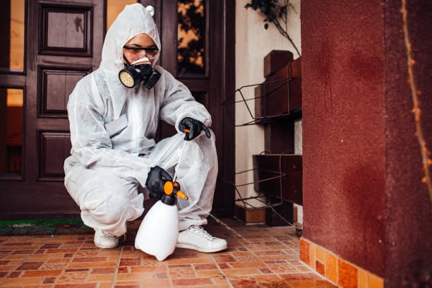 Reliable Mosquito Control contractor in Crosspointe, VA by Show Me Pest Control